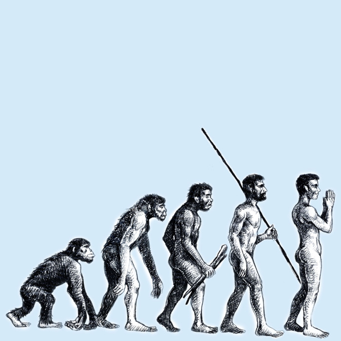 richtige evolution